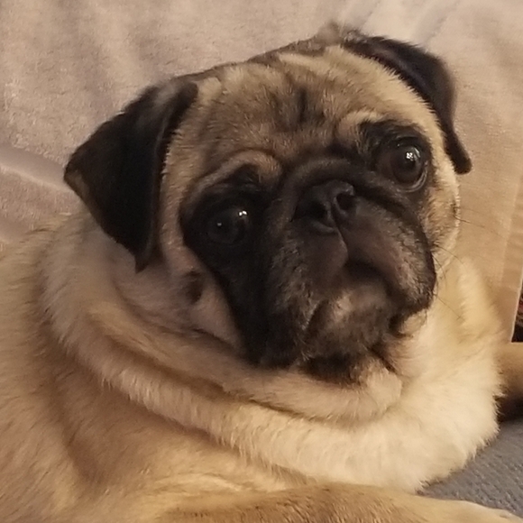 New listings! - Picture 15 of 16